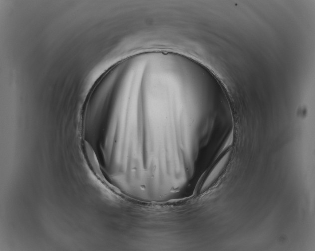 X0000090721527200708031449