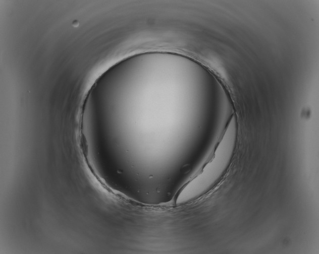 X0000090721528200708031449
