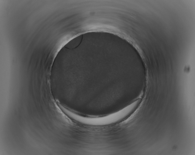X0000090721529200708031449
