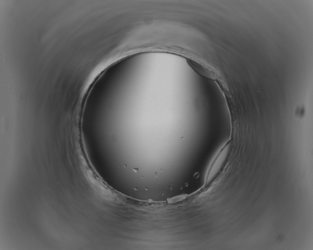 X0000090721530200708031449
