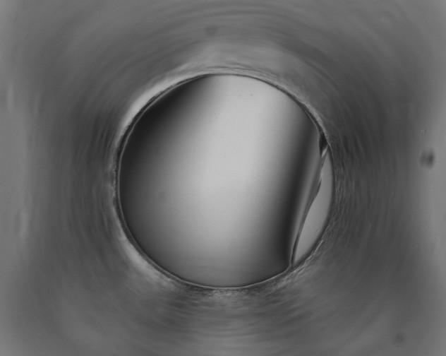 X0000090721531200708031449
