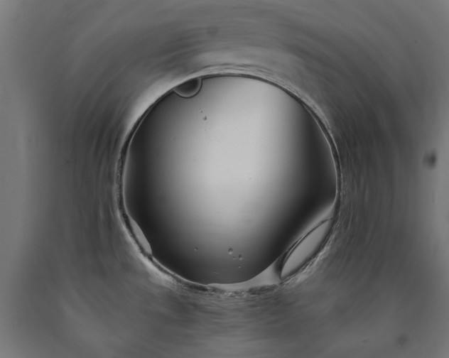 X0000090721533200708031449
