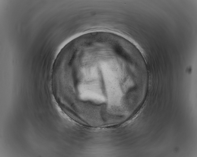 X0000090721534200708031449