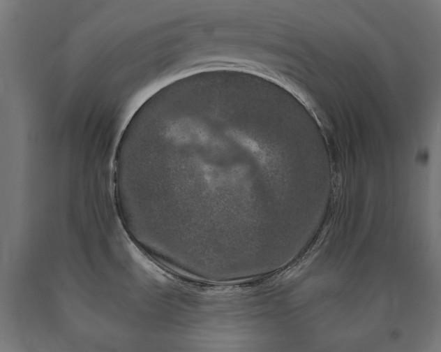 X0000090721535200708031449