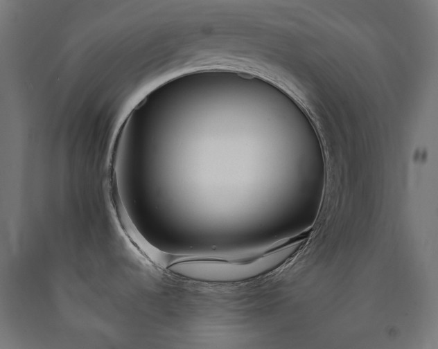 X0000090721536200708031450