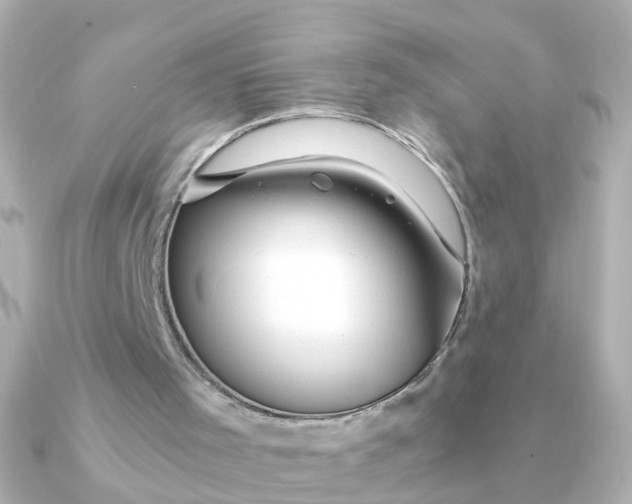 X0000090720001200708101602