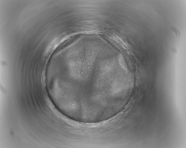 X0000090720002200708101602