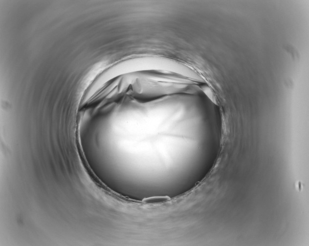 X0000090720003200708101602