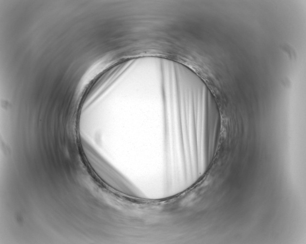 X0000090720004200708101602