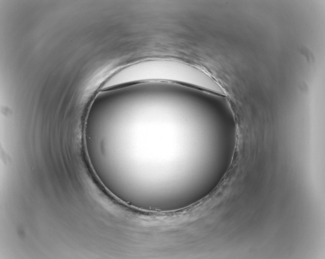 X0000090720005200708101602