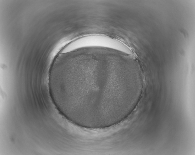 X0000090720006200708101602