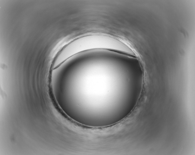 X0000090720007200708101602