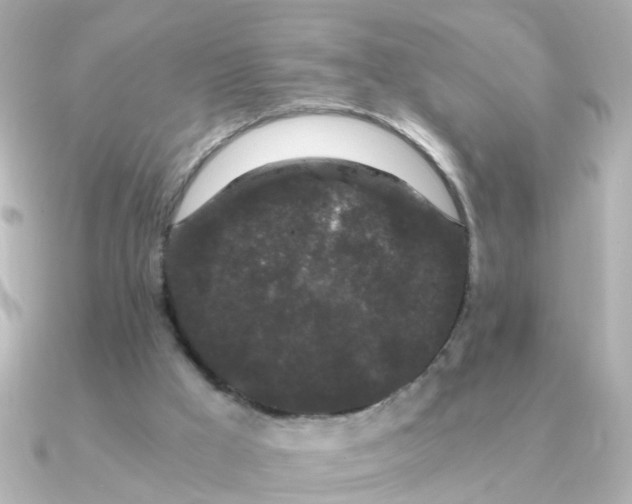 X0000090720009200708101602