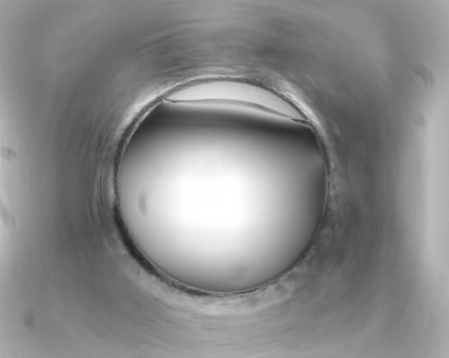 X0000090720011200708101602