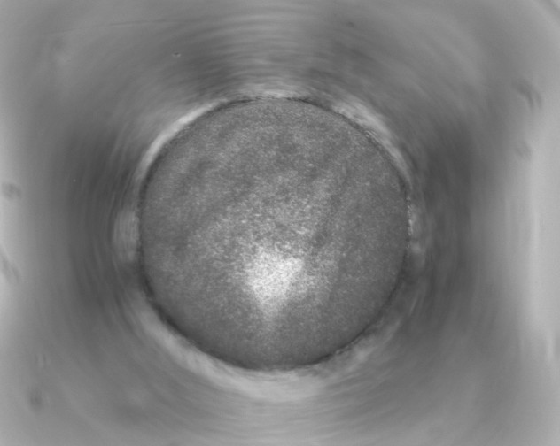 X0000090720012200708101602