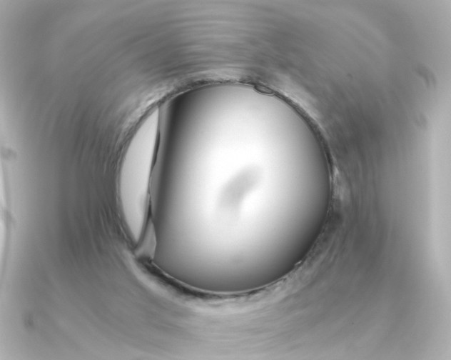 X0000090720013200708101602