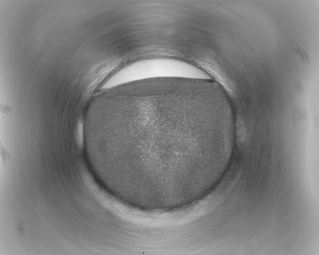 X0000090720014200708101602