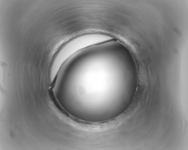 X0000090720015200708101602