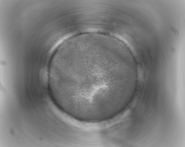 X0000090720016200708101602