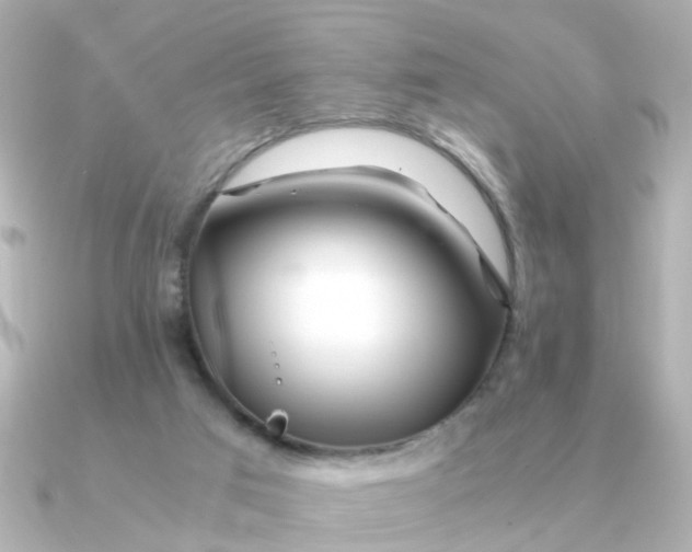 X0000090720017200708101602