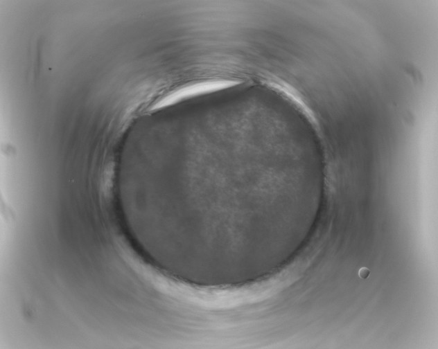 X0000090720018200708101602