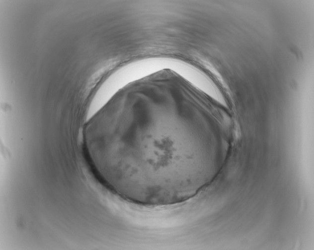 X0000090720019200708101602