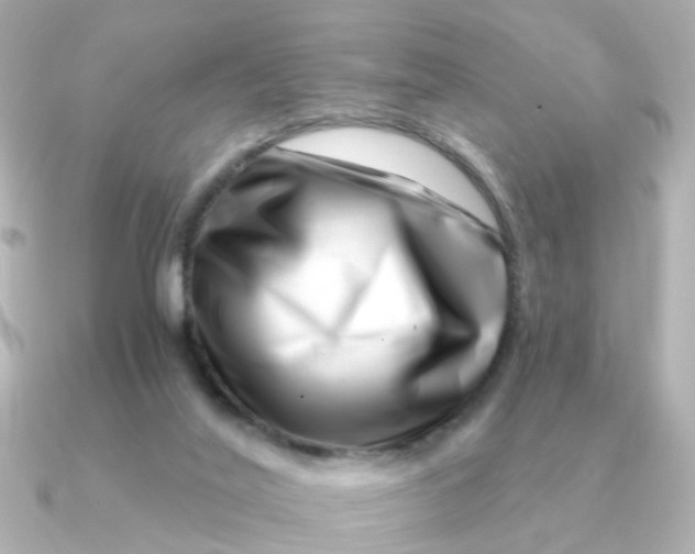 X0000090720020200708101602