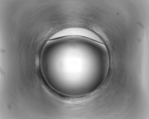 X0000090720021200708101602