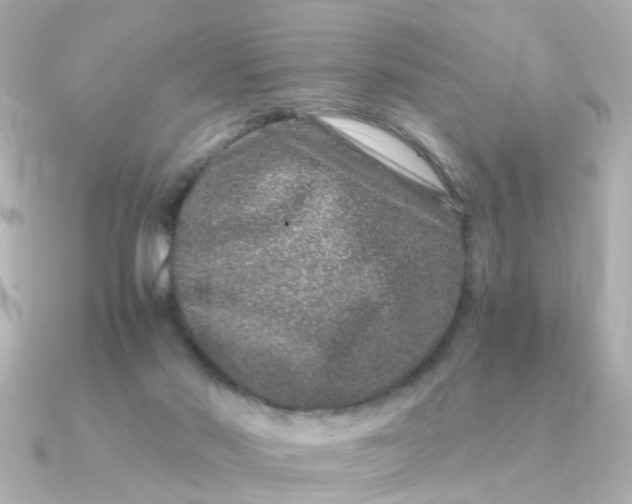 X0000090720022200708101602