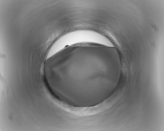 X0000090720023200708101602