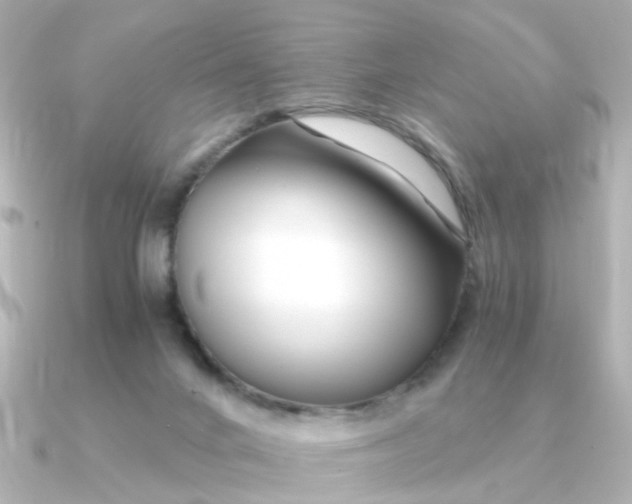 X0000090720024200708101602