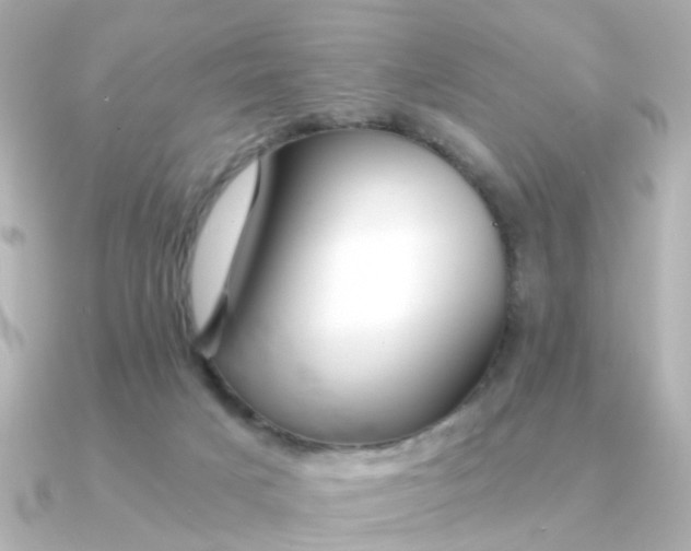 X0000090720025200708101602