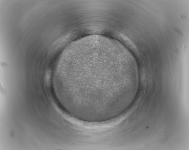 X0000090720026200708101602