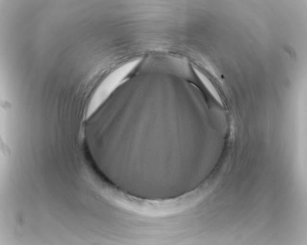 X0000090720027200708101602