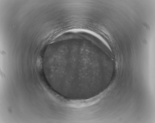 X0000090720029200708101602