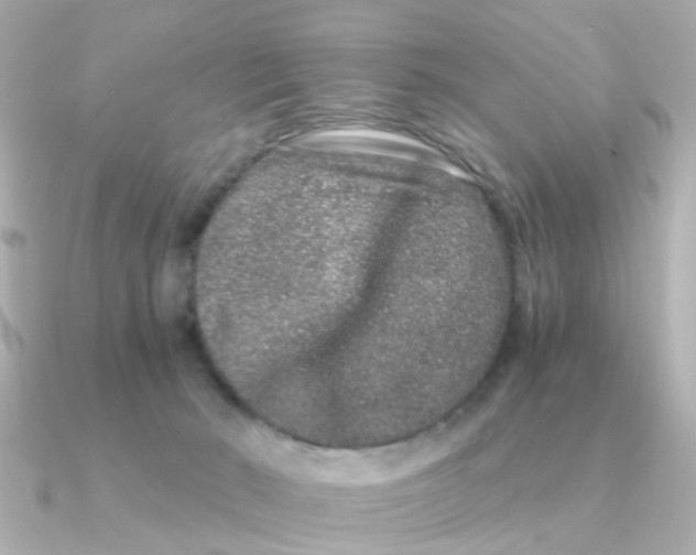 X0000090720030200708101602