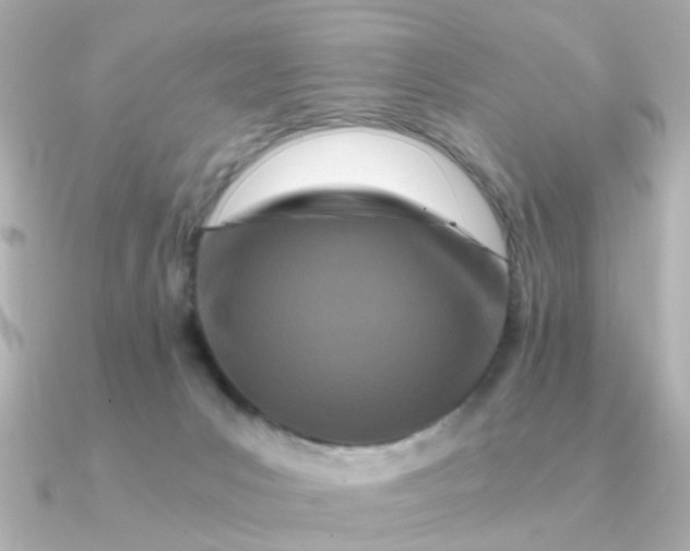 X0000090720031200708101602