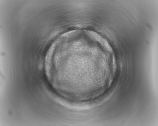 X0000090720032200708101602