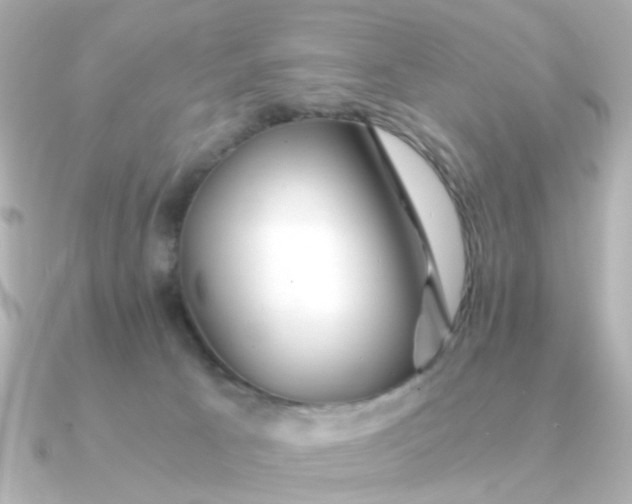 X0000090720033200708101602