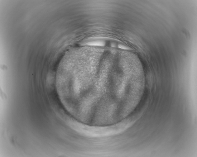 X0000090720034200708101602