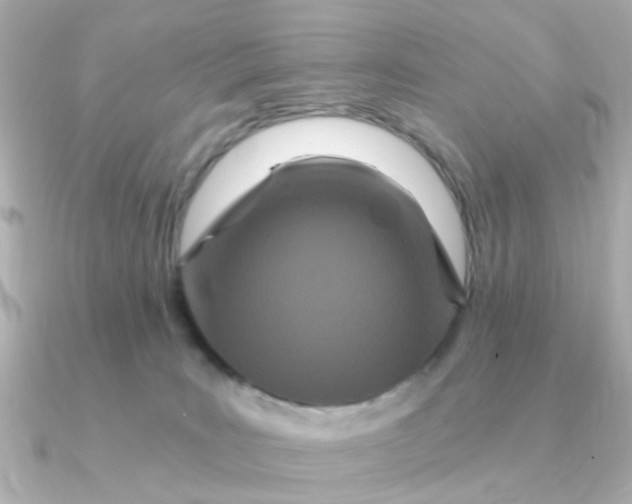 X0000090720035200708101602