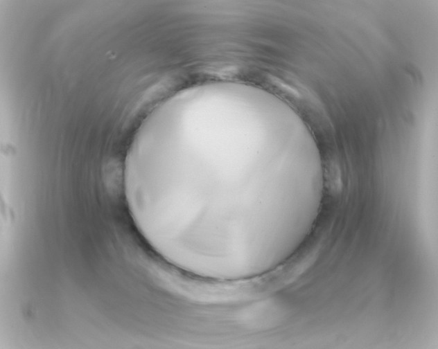 X0000090720036200708101602