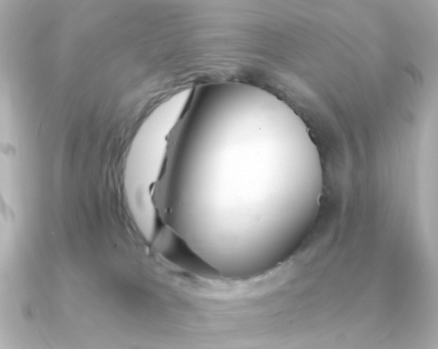 X0000090720037200708101602