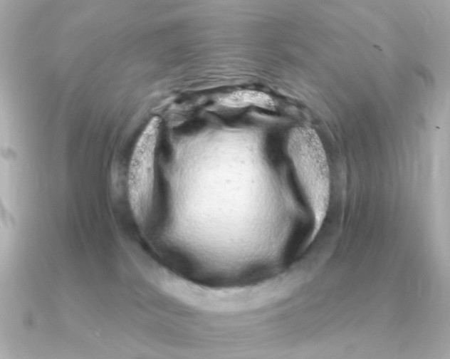 X0000090720038200708101602