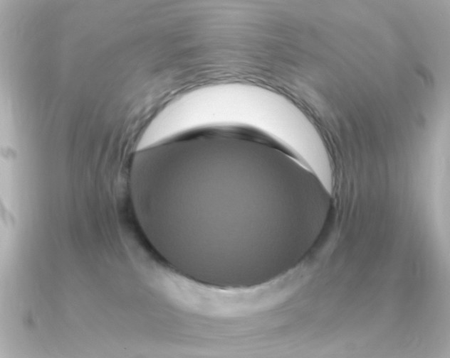 X0000090720039200708101602