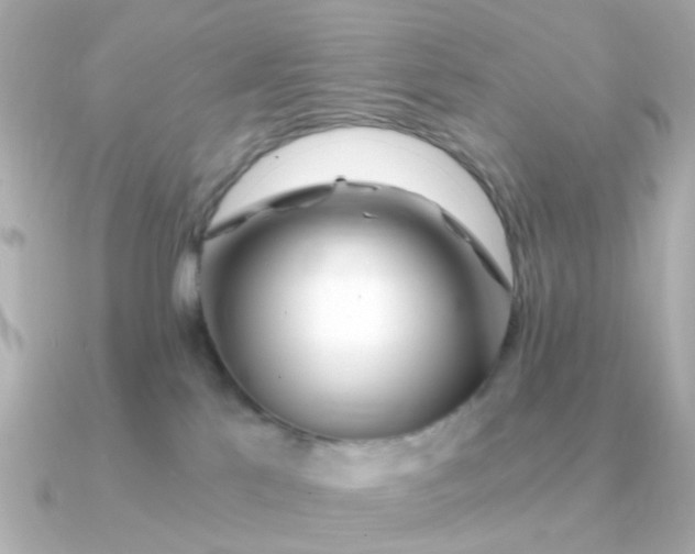 X0000090720041200708101602