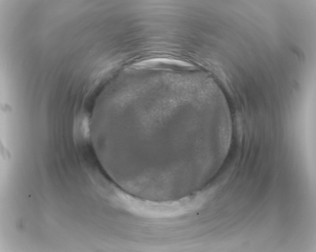 X0000090720042200708101602