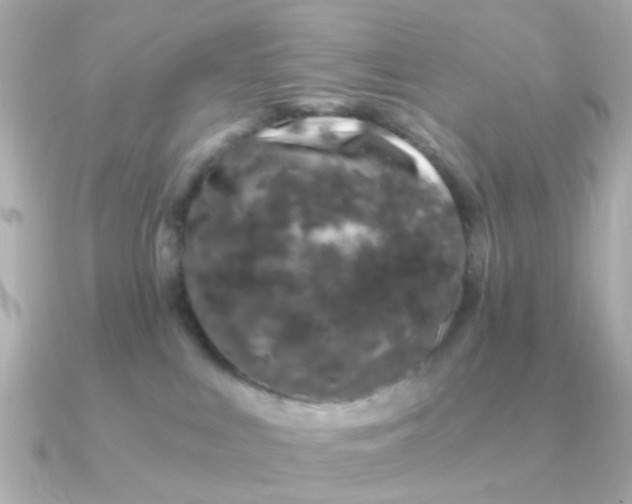 X0000090720043200708101602