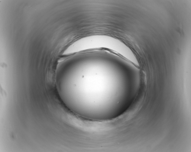 X0000090720044200708101602