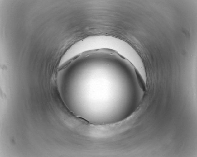 X0000090720045200708101602